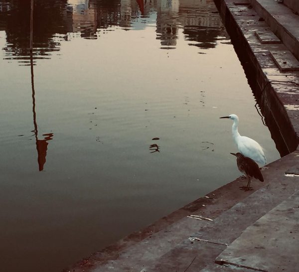 Pushkar lake